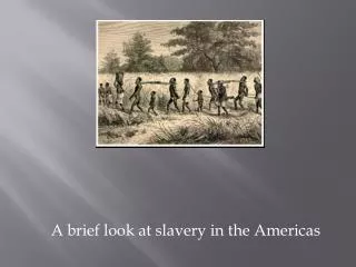 A brief look at slavery in the Americas