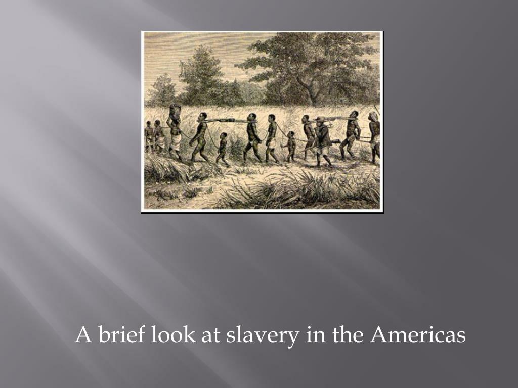 PPT - A brief look at slavery in the Americas PowerPoint Presentation ...