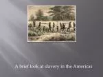 A brief look at slavery in the Americas - slide 1