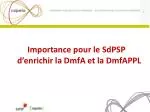 Importance pour le SdPSP d’enrichir la DmfA et la DmfAPPL - slide 1