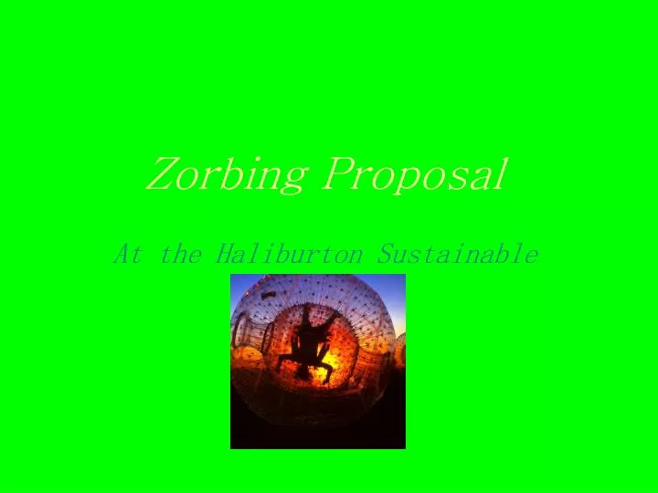 zorbing proposal