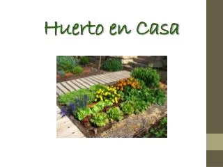 huerto en casa