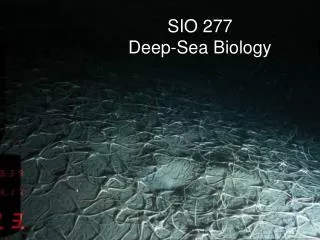 SIO 277 Deep-Sea Biology