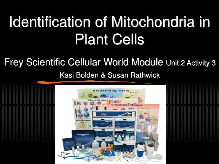 identification of mitochondria in plant cells