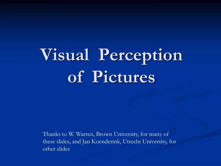 visual perception of pictures