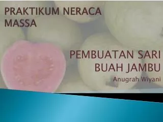 praktikum neraca massa