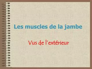 les muscles de la jambe