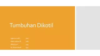 tumbuhan dikotil