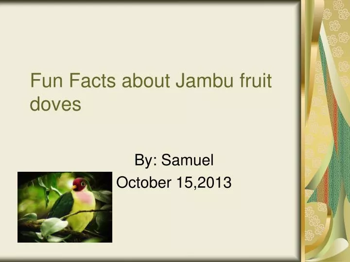 fun facts about jambu fruit doves