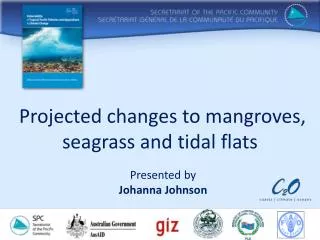 Projected changes to mangroves, seagrass and tidal flats