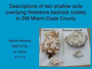 Descriptions of two shallow soils overlying limestone bedrock (oolite) in SW Miami-Dade County