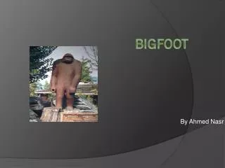 Bigfoot