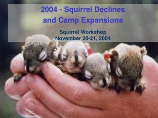 2004 - Squirrel Declines and Camp Expansions Squirrel Workshop November 20-21, 2004