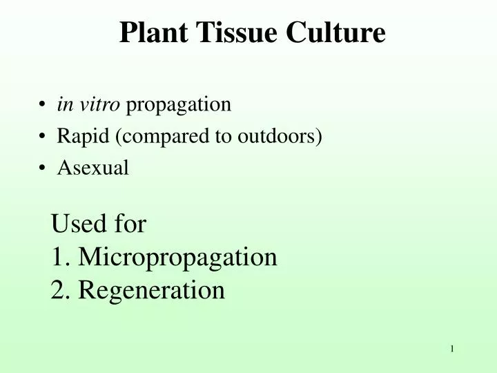 plant tissue culture
