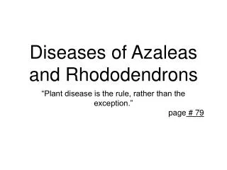 Diseases of Azaleas and Rhododendrons