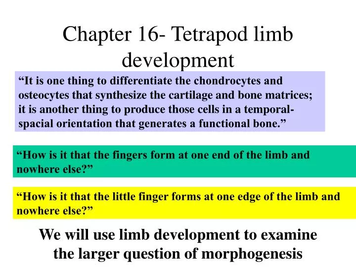 chapter 16 tetrapod limb development