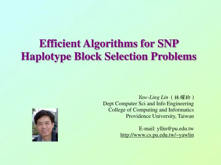 efficient algorithms for snp haplotype block selection problems