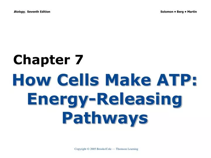 how cells make atp energy releasing pathways
