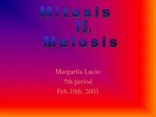 Margarita Lucio 5th period Feb.10th, 2003