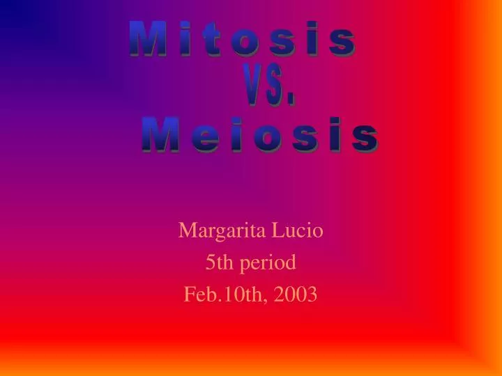 margarita lucio 5th period feb 10th 2003