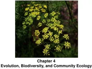 Chapter 4 Evolution, Biodiversity, and Community Ecology