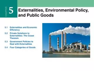 Externalities, Environmental Policy, and Public Goods