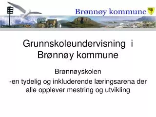grunnskoleundervisning i br nn y kommune