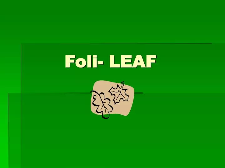 foli leaf