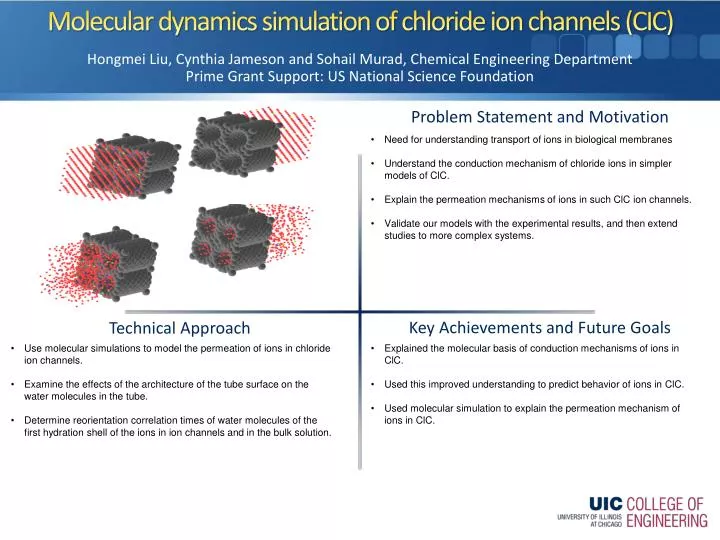 molecular dynamics simulation of chloride ion channels cic