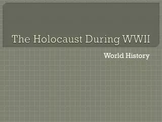 The Holocaust During WWII