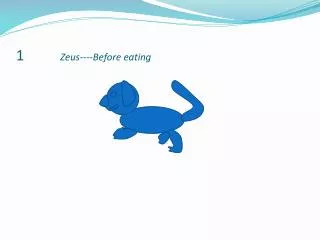 1 Zeus----Before eating