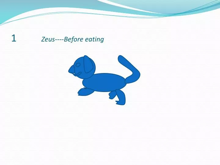 1 zeus before eating