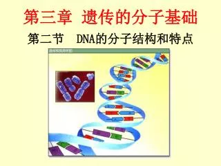 ??? DNA ????????