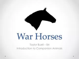 War Horses