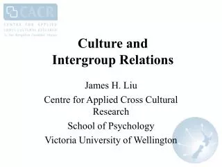 Culture and Intergroup Relations