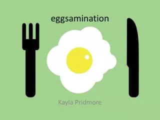 eggsamination