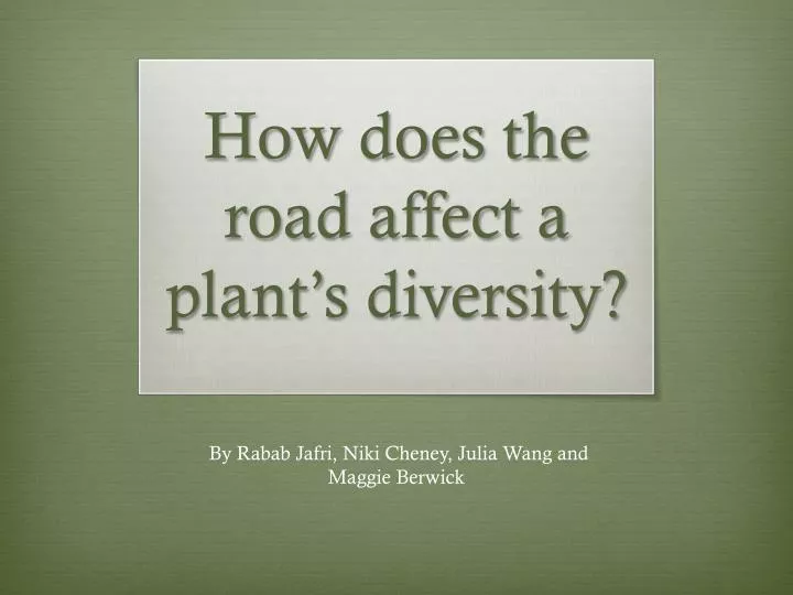 how does the road affect a plant s diversity