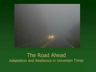The Road Ahead Adaptation and Resilience in Uncertain Times