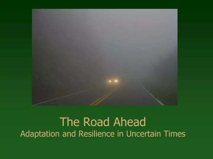 the road ahead adaptation and resilience in uncertain times