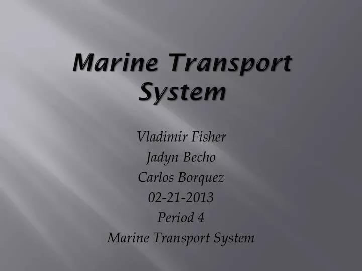 marine transport system