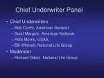 Chief Underwriter Panel - slide 1