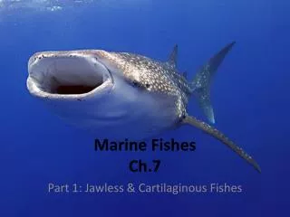 Marine Fishes Ch.7