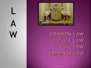 Common law statute law civil law criminal law