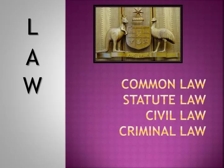 common law statute law civil law criminal law
