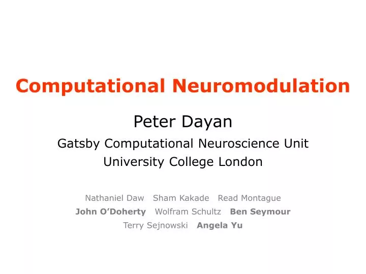 computational neuromodulation