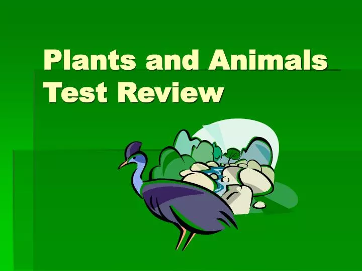 plants and animals test review
