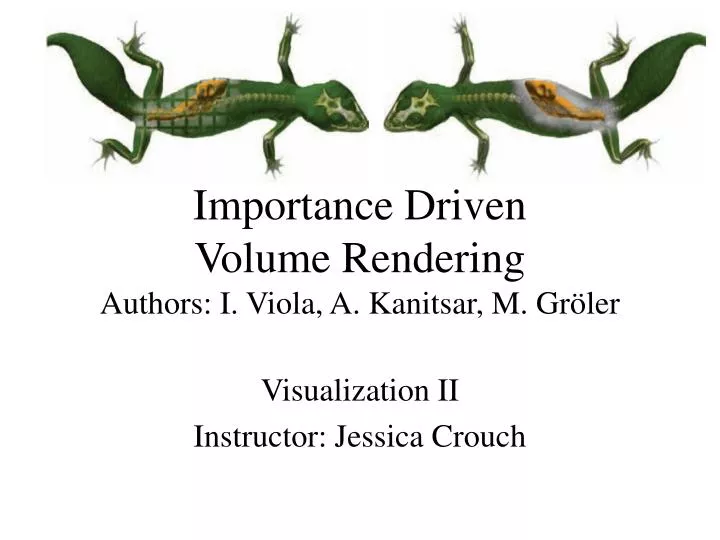 importance driven volume rendering authors i viola a kanitsar m gr ler