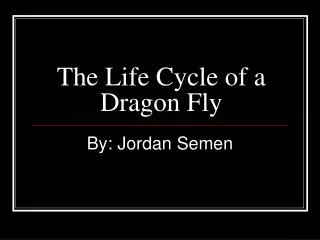 The Life Cycle of a Dragon Fly