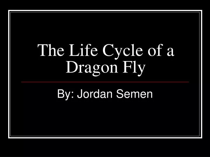 the life cycle of a dragon fly