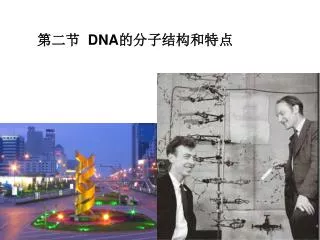 ??? DNA ????????